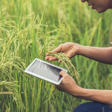 agriculture-banner