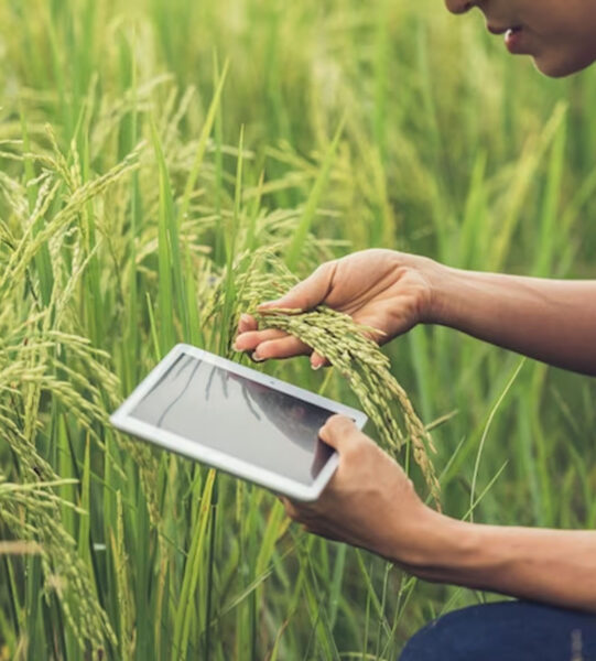 agriculture-banner